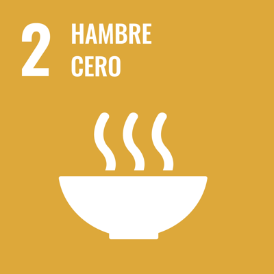 ODS 2 — Hambre cero